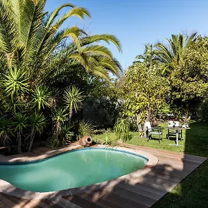 Le Petit Chateau Guest House Guest house